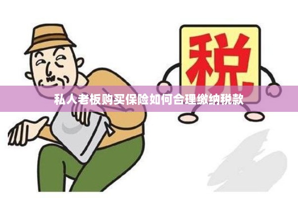 私人老板购买保险如何合理缴税，策略与指南-图1