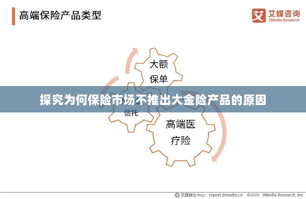 探究保险市场未推出大金险产品的原因分析-图1