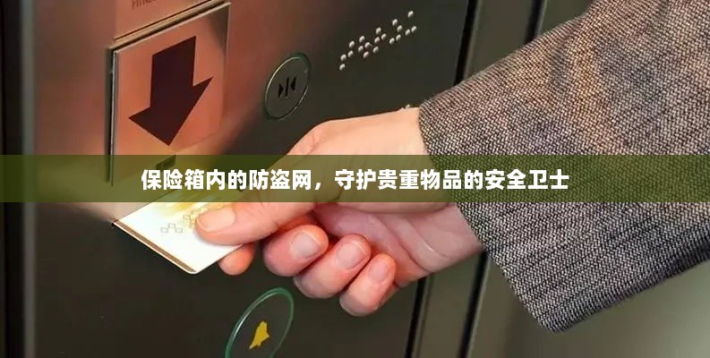 保险箱内防盗网，守护贵重物品的安全屏障-图1
