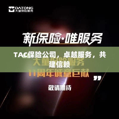 TAC保险公司,卓越服务,共筑信赖之巅-图1 TAC保险公司,卓越服务,共筑信赖之巅-图1