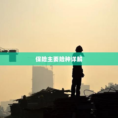 保险主要险种详解概览-图1