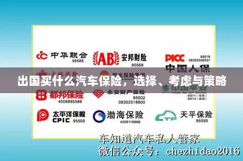 出国购车保险指南，选择、考虑与策略全解析-图1