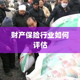 财产保险行业评估方法与策略解析-图1 财产保险行业评估方法与策略解析-图1