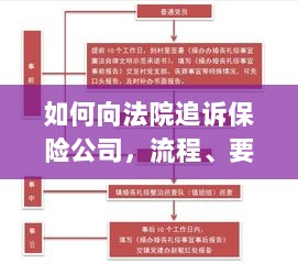 追诉保险公司指南，流程、要点与策略全解析-图1