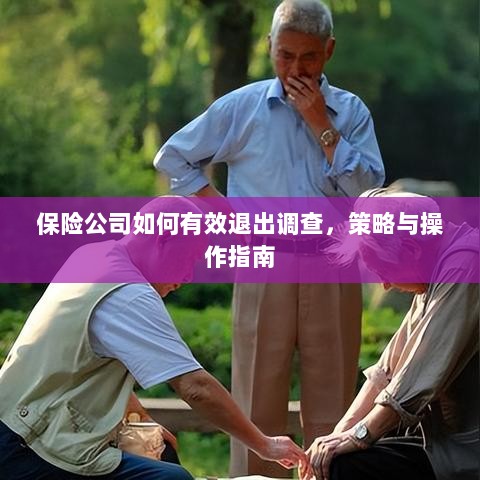 保险公司调查退出策略与操作指南，有效方法与步骤-图1