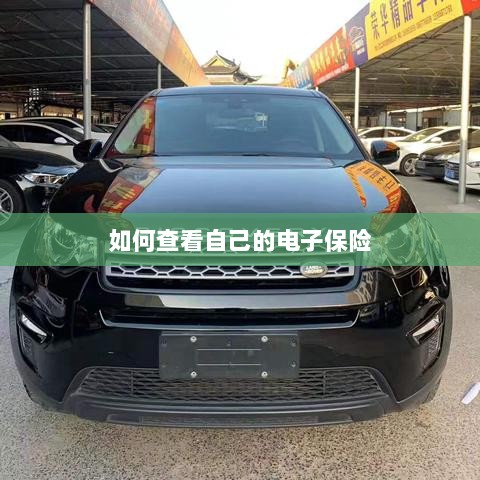 如何查看个人电子保险保单详情-图1 如何查看个人电子保险保单详情-图1