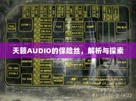 天籁AUDIO保险丝解析与探索-图1