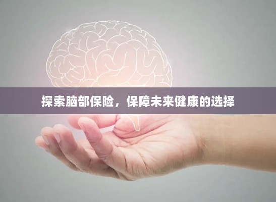 探索脑部保险,守护未来健康的首选策略-图1 探索脑部保险,守护未来健康的首选策略-图1