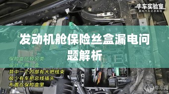 发动机舱保险丝盒漏电问题深度解析-图1