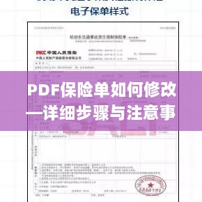 PDF保险单修改指南,步骤详解及注意事项-图1 PDF保险单修改指南,步骤详解及注意事项-图1