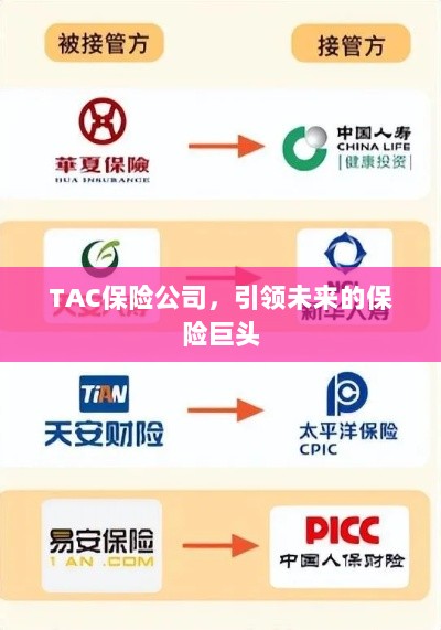 TAC保险公司,引领保险行业未来巨头之路-图1 TAC保险公司,引领保险行业未来巨头之路-图1