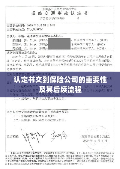 认定书对保险公司的重要性及后续流程详解-图1 认定书对保险公司的重要性及后续流程详解-图1