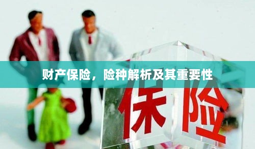 财产保险险种解析与重要性探讨-图1 财产保险险种解析与重要性探讨-图1