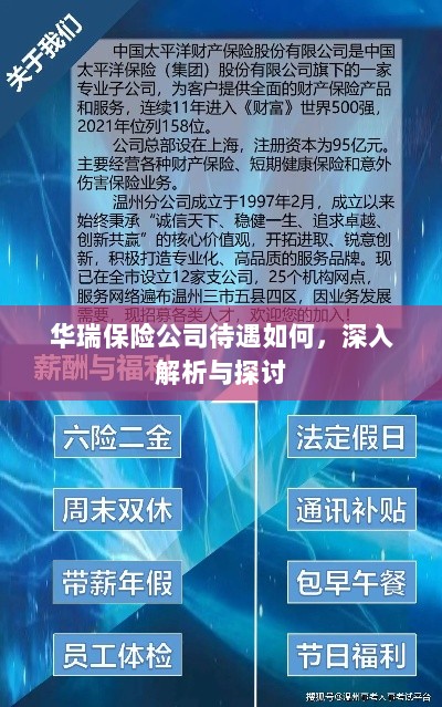 华瑞保险公司待遇深度解析与探讨-图1