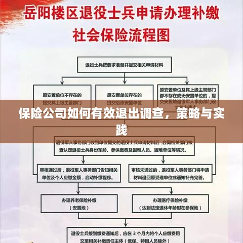 保险公司有效退出调查的策略与实践探讨-图1