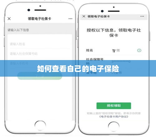 如何查看个人电子保险保单详情-图1