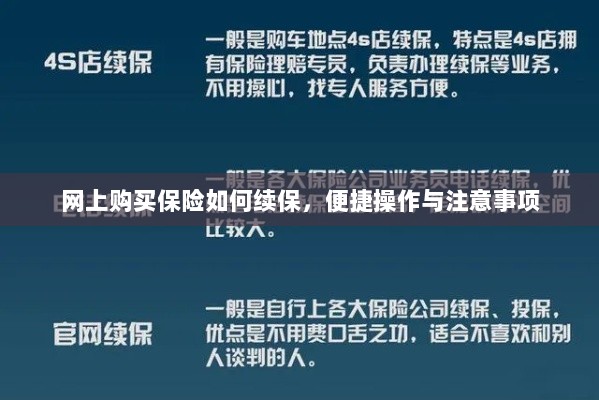 网上保险续保攻略，便捷操作及注意事项-图1