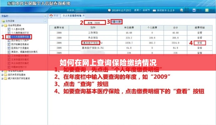 网上查询保险缴纳情况攻略-图1