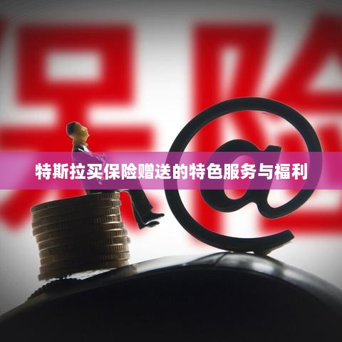 特斯拉保险特惠,独家特色服务与丰厚赠品等你来享-图1 特斯拉保险特惠,独家特色服务与丰厚赠品等你来享-图1