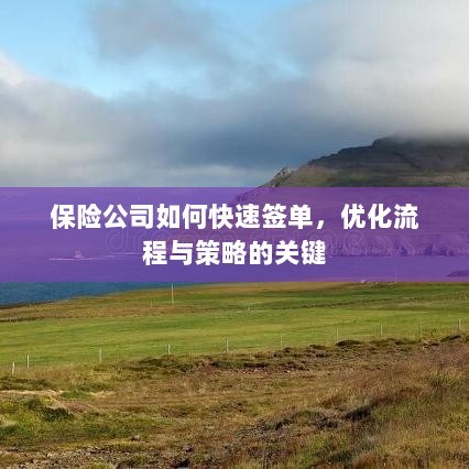 保险公司签单优化策略,流程重塑与快速签单之道-图1 保险公司签单优化策略,流程重塑与快速签单之道-图1