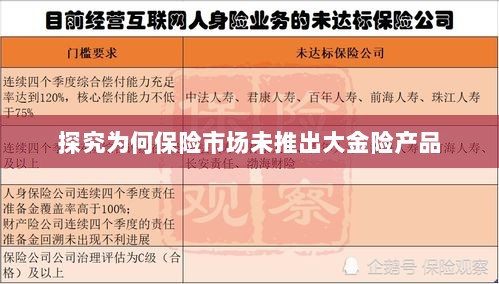保险市场为何未推出大金险产品探究-图1