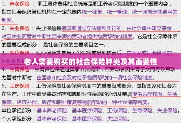 老人需购买的社会保险种类及其重要性概览-图1