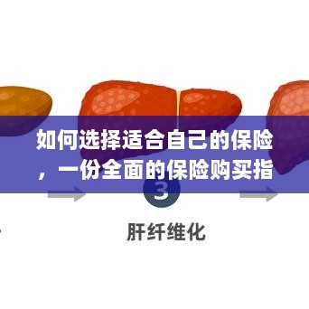 全面保险购买指南，如何挑选适合自己的保险-图1