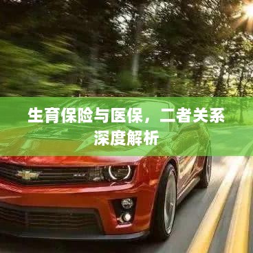 生育保险与医保的关系深度探讨与解析-图1