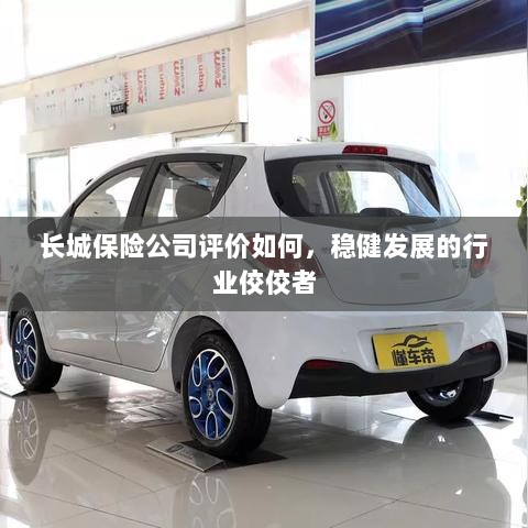 长城保险公司评价积极,行业稳健发展的佼佼者-图1 长城保险公司评价积极,行业稳健发展的佼佼者-图1