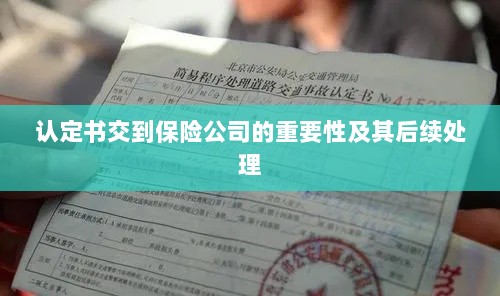 认定书交到保险公司的重要性及后续处理流程详解-图1