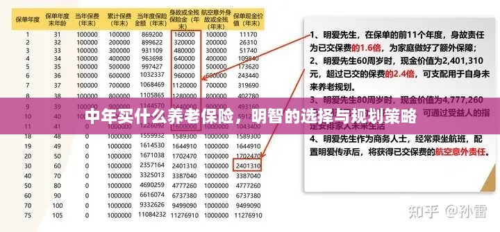 中年明智之选，养老保险的规划与策略-图1