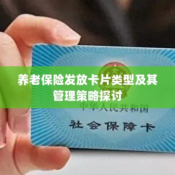 养老保险卡片类型与管理策略探讨，优化发放与管理机制的研究-图1