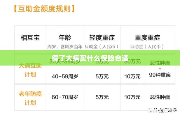 大病保险选择指南，如何选购合适的保险？-图1