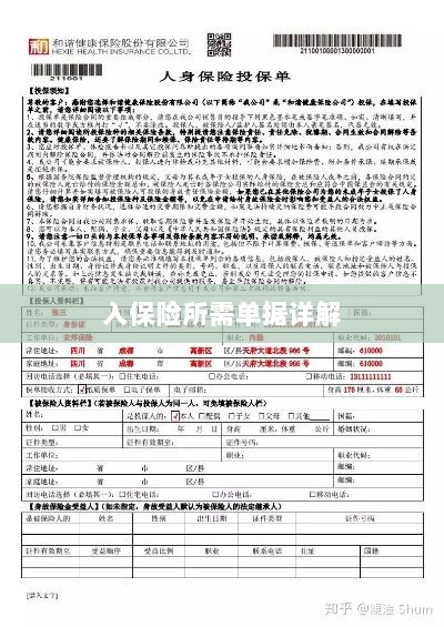 入保险必备单据解析-图1