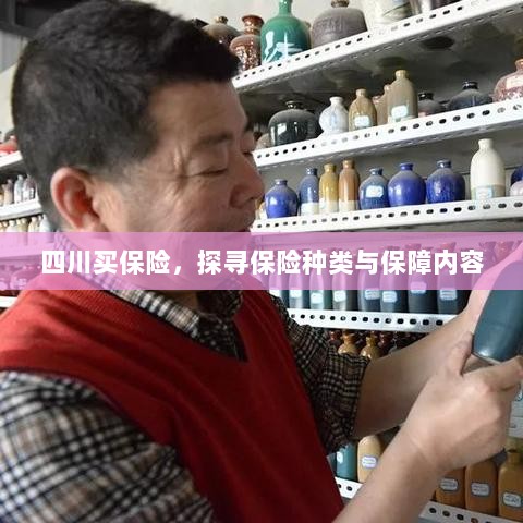 四川保险探秘，种类与保障内容全解析-图1