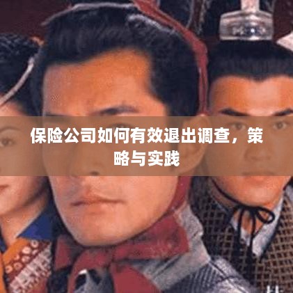保险公司有效退出调查的策略与实践探讨-图1