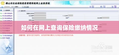 网上查询保险缴纳情况攻略-图1