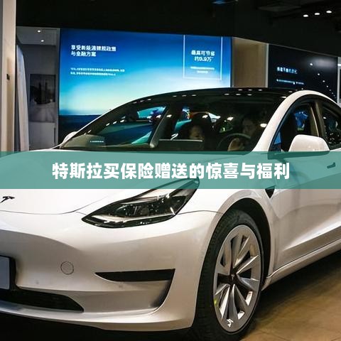 特斯拉保险购买赠品与惊喜福利概述-图1 特斯拉保险购买赠品与惊喜福利概述-图1