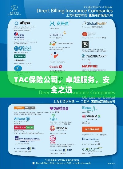 TAC保险公司，卓越服务，信赖的安全之选-图1
