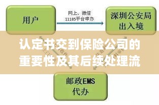 认定书对保险公司的重要性及后续处理流程详解-图1 认定书对保险公司的重要性及后续处理流程详解-图1
