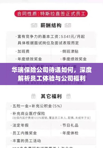 华瑞保险公司员工待遇与福利深度解析-图1 华瑞保险公司员工待遇与福利深度解析-图1