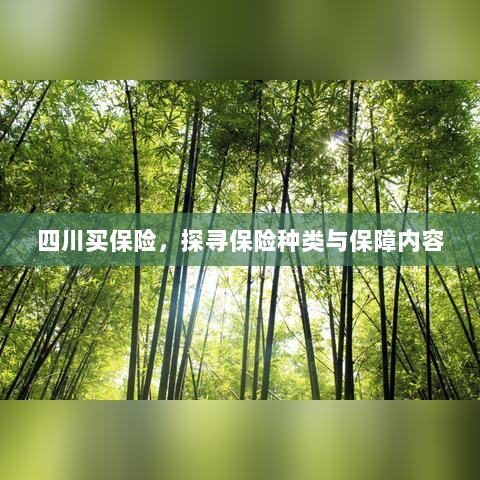 四川保险探秘,种类与保障内容全解析-图1 四川保险探秘,种类与保障内容全解析-图1