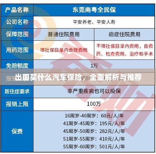 全面解析与推荐,出国应该购买哪些汽车保险?-图1 全面解析与推荐,出国应该购买哪些汽车保险?-图1