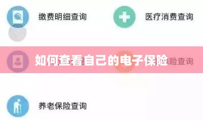 如何查看个人电子保险保单详情-图1 如何查看个人电子保险保单详情-图1