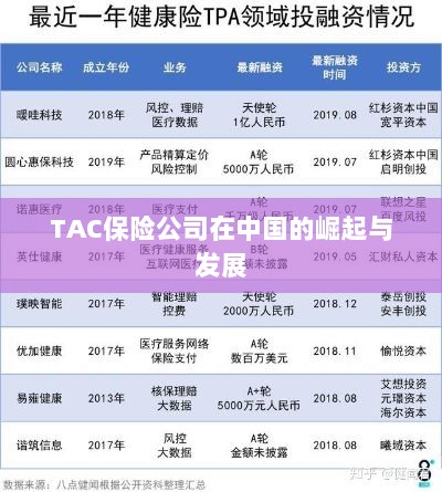 TAC保险公司在中国的崛起与蓬勃发展之路-图1 TAC保险公司在中国的崛起与蓬勃发展之路-图1