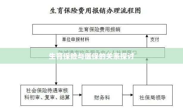 生育保险与医保关系深度探讨，融合与协同发展的视角-图1