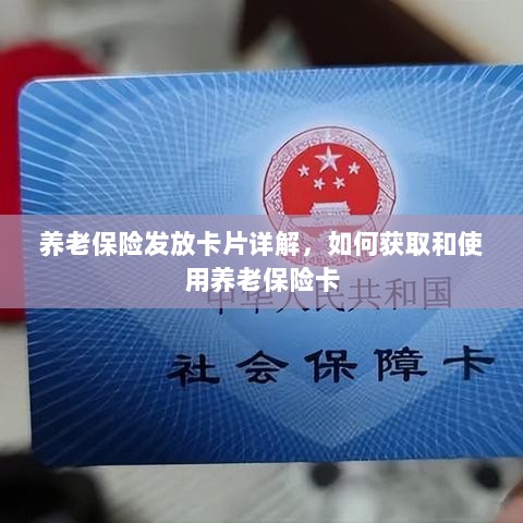 养老保险卡发放详解，获取与使用指南-图1
