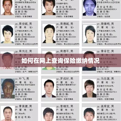 网上查询保险缴纳情况攻略-图1 网上查询保险缴纳情况攻略-图1