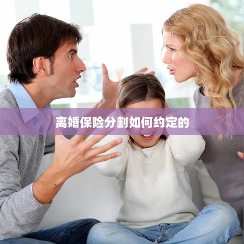 离婚保险分割约定详解-图1 离婚保险分割约定详解-图1