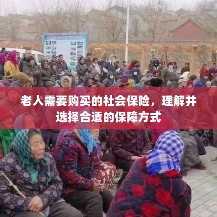 老人社会保险购买指南,理解并选择适合的保障方式-图1 老人社会保险购买指南,理解并选择适合的保障方式-图1
